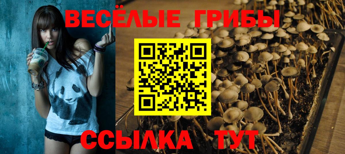 Галлюциногенные грибы GOLDEN TEACHER Магадан