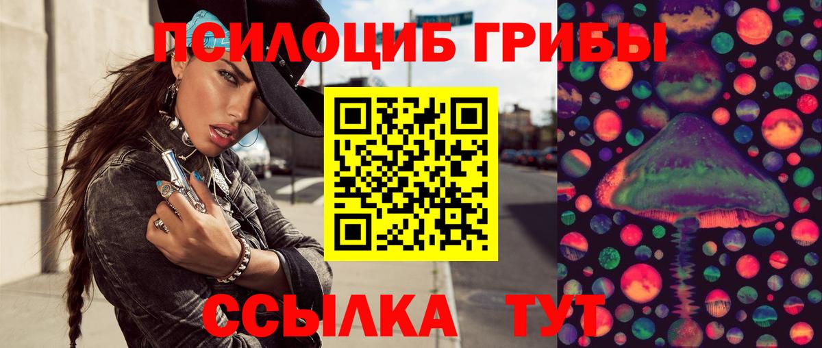 Галлюциногенные грибы Cubensis  Галлюциногенные грибы Psilocybine cubensis  купить наркоту  Вход с VPN  Магадан 